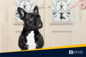casos de mordeduras de perro miniatura