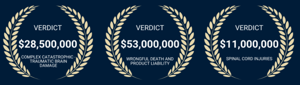 Atty Liz Zwibel Email Signature Verdict awards
