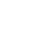 investigation icon